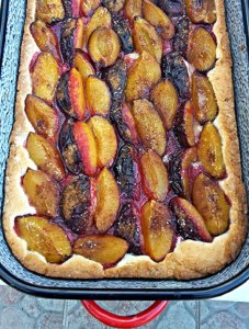 photoeditor-1475941790510