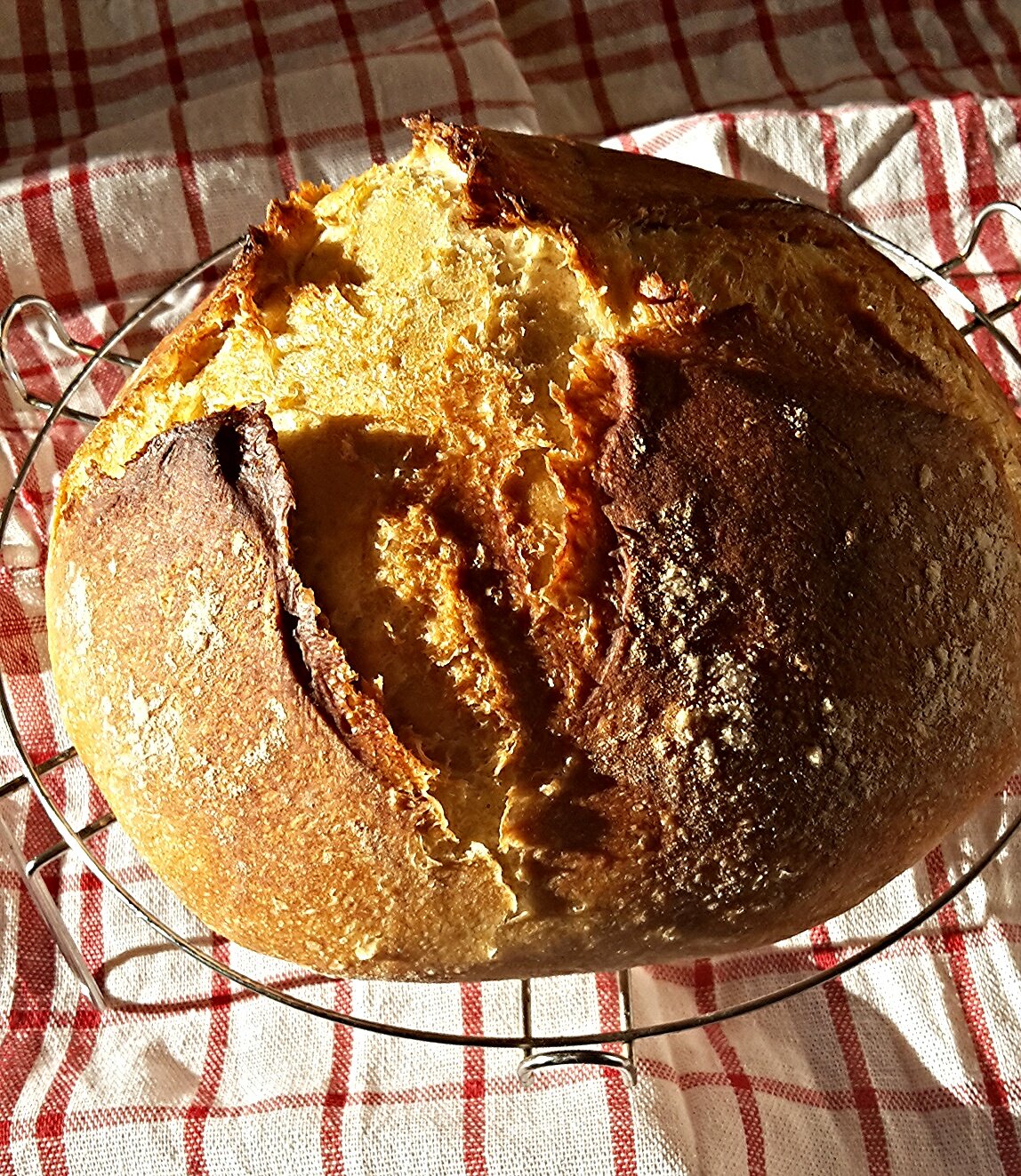 photoeditor-1477919695582