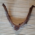 photoeditor-1479038466883