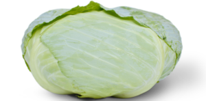 laposkáposzta (forrás google)