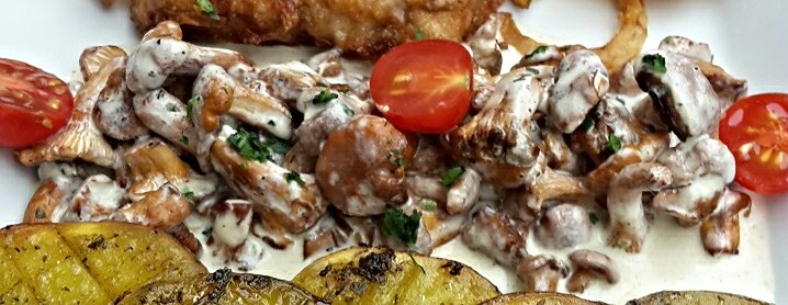 Tejszínes rókagomba