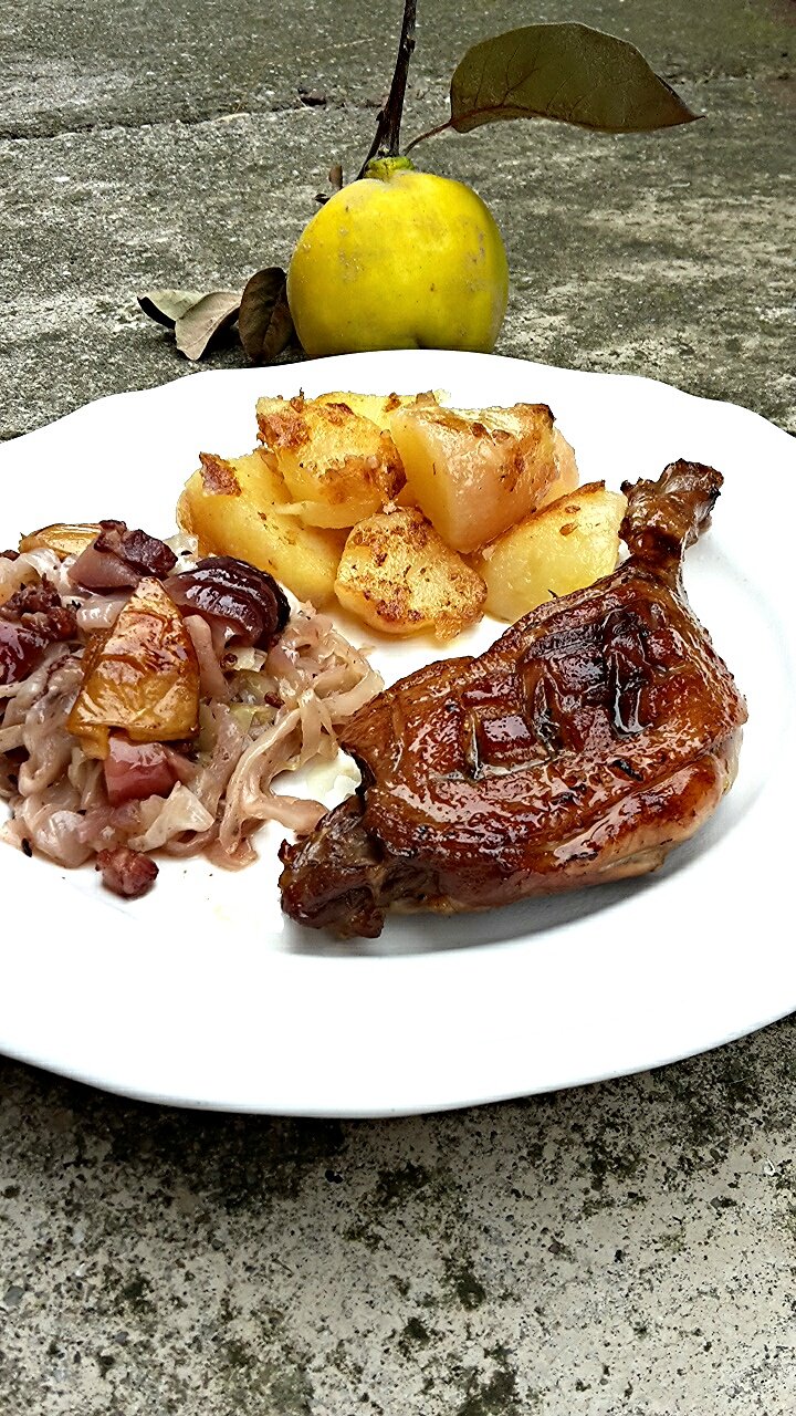 Birsalmával sült kacsacomb